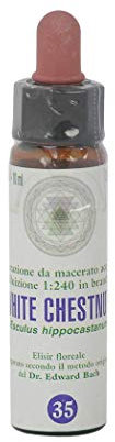 White Chestnut n° 35 Fleur de Bach farmaflor, 1 Flacon Comtpe Gouttes 10ml - Made in Italy