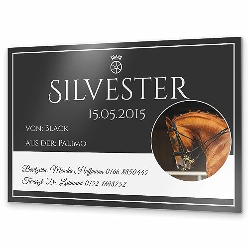 Pferdeschilder Boxenschild mit Foto und Wunschtext | Alu Dibond Alu Verbundplatte | 30x20 cm | sofort personalisierbar | inkl. Brandzeichen & Motiven