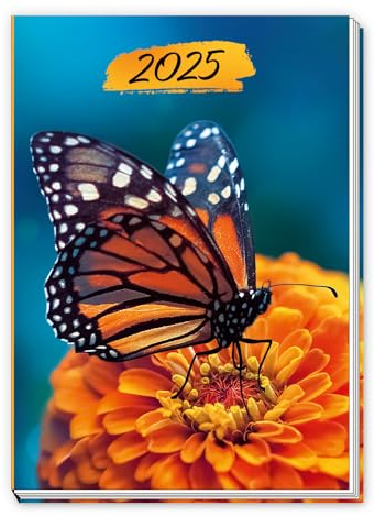 Trötsch Taschenkalender A7 Schmetterling 2025: Mini-Terminkalender