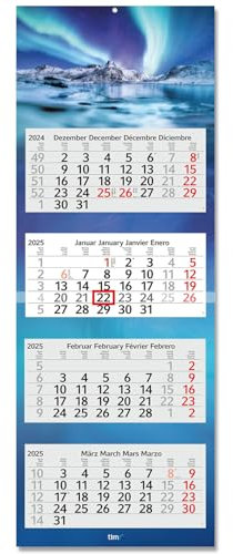Timr 4-Monatskalender 2025 Polarlichter I Wandkalender 4 Monate I 33 x 90 cm I mehrsprachig D/GB/F/ES I Jahresplaner mit Schieber Mehrblatt-Kalender I Blau Bild-Motiv Berge I tr252