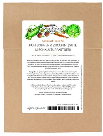 Habas y calabacín- Set de de semillas con 3 plantas ideales para el cultivo intercalado