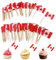 100 Stück Food Flaggen Zahnstocher, Kanada Flaggen Kuchen Toppers Mini Obst Cocktail Stick Flagge Zahnstocher Flaggen für Party Lebensmittel Käse Label Party Supplies Pub BBQ Dekor