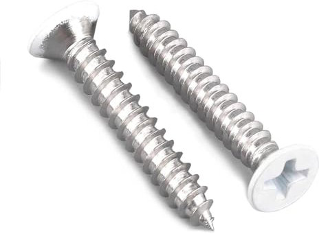 Lot de 100 vis à bois à tête plate cruciforme en acier inoxydable 18-8 A2 (304) #25,4 x 2,5 cm, blanches B1jounie YA