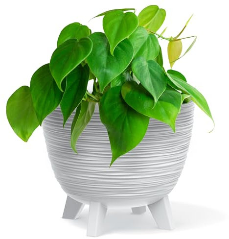 Bowl Planter Plant Pot with Legs Oval Flower Modern Decorative FURU Indoor 4 Colours Modern Elegant Plqastic Matt Finish Textured Home Office Balcony Lightweight (White, 23.6cm)