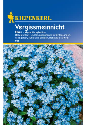 Vergissmeinnicht 'Blau',1 Portion