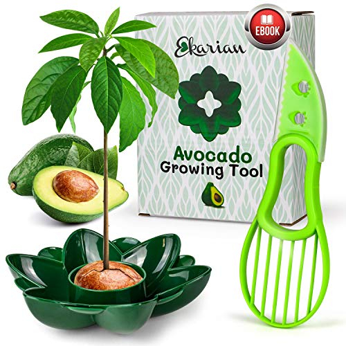 Ekarian Avocado Growing Tool | Geschenke für Frauen | Avocado Pflanzen | Geburtstagsgeschenk | Avocado züchten | Avocado Schneider | Avocadobaum Pflanzen | Ebook