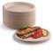 Lot de 50 assiettes en carton rigides 100 % biodégradables, résistantes, recyclable parfaites pour les pique-niques (15,2 cm)