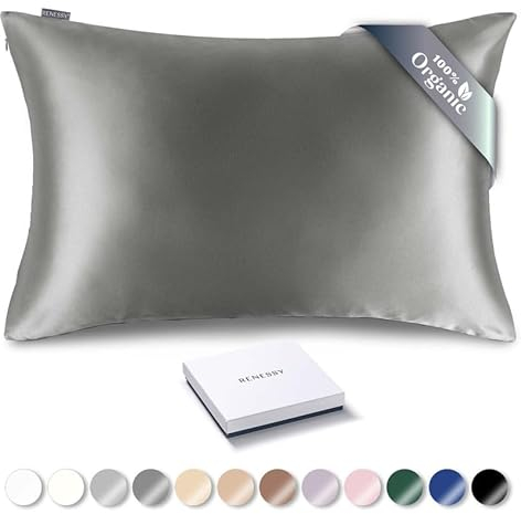RENESSY Taie d'oreiller en Soie 100% Bio 50x70 cm - 22 Momme Soie de Mûrier, Grade 6A, Certifiée Oeko-Tex en Allemagne - Luxe pour Les Cheveux et la Peau, 1 Pièce (Gris Graphite)