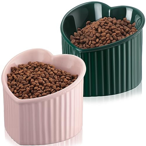 Mumufy 2 cuencos elevados de cerámica para gatos, inclinados, elevados, para gatos, antivómito, para gatos de interior, alimentador de platos de agua sin estrés para gatos, cachorros, en forma de