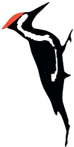 Metallspecht, Baumschmuck, Hinterhof, Kolibri, Metallkunst-Skulpturen, Toller Specht, Specht, Gartenarbeit, Land, Metall, Dekoration, Vogeldekoration für Garten, Hof, Terrasse