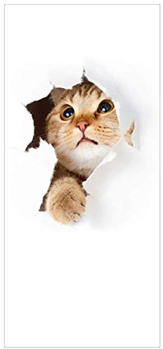 posterdepot ktt0155 Türtapete Türposter Katze mit Blick nach Oben-Größe 93 x 205 cm