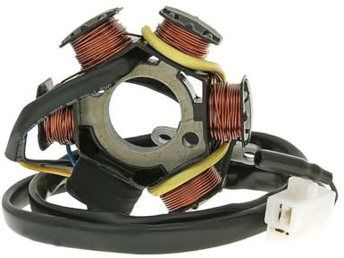 2EXTREME Lichtmaschine Stator kompatibel mit Peugeot Speedfight 1,2 50 AC/LC
