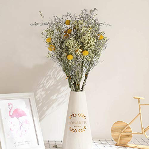 HUAESIN 8 Pcs Getrocknete Blumen Natürliche Trockenblumen Deko Getrocknete Blumen Craspedia Globosa für Hochzeit Vase Zuhause Tischdeko Büro Party Foto Requisiten DIY Dekoration Gelb