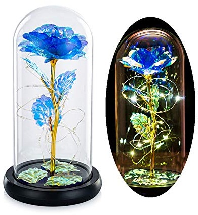 Die Schöne Und Das Biest Rose In Glaskuppel Mit Warmweißen LED-Lichtern Ewiges Kristallrosenblumengeschenk Verzaubertes Geschenk Für Immer Zum Geburtstag Für Sie Zum Jubiläum Valentinstag Hochzeit