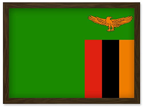 Artery8 Zambia National Flag Patriotic Vexillology World Flags Country Region Poster Artwork Framed Wall Art Print A4
