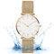 iFCOW Frauen Legierung Uhr, wasserdicht Frauen Armbanduhr Edelstahl Quarzuhr mit 36mm Gehäuse