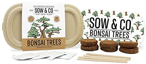 Gift Republic Bonsai Tree Growing Kit Sow & Co Biodegradable Grow Kit Gardening Gift Bonsai Seeds No Soil Eco-Friendly Growing Set Kids, Teens, Adults, Brown
