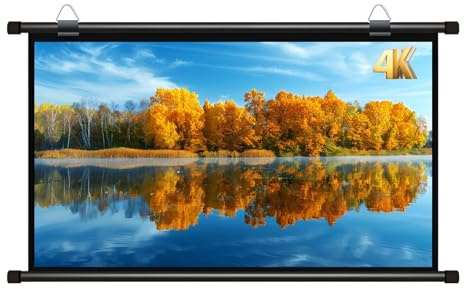 60 Zoll Manuell Rollo-Leinwand Projektionsschirm, 72 Zoll 16:9 HD Tragbare Wand Beamer Leinwand für Heimkino, Büro, Party(60 inch 16: 9)