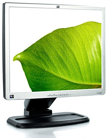 HP L1940T - Monitor de 19 pulgadas, 1280 x 1024, 300 cd/m², tiempo de reacción de 8 ms, conexión DVI, VGA y concentrador USB, con certificación TCO03, color negro y plateado