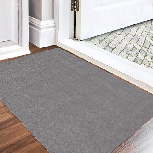 Aoxisicoo Schmutzfangmatte 80x120cm,Superdünn InnenFußmatte,Saugfähiges Rutschfester Teppich,strapazierfähige Türmatte,Für Eingangsbereich,Küche,Terrasse,Haustür,Hellgrau