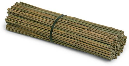 Bambusstab (150 cm) 10er Pack