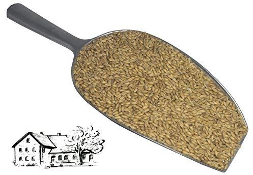 Dinkelkörner 5 kg, Ernte 2026 vom Dinkelhof Horstmann