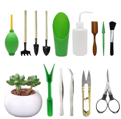 Kit de herramientas para jardín suculentas, juego de herramientas para plantas suculentas,Set de mantenimiento de jardín para suculentas - Herramientas de trasplante de agarre cómodo para poda de plan