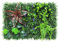 Emiif Künstliche Hecke, grünes Gras, quadratisch, Kunststoff, Rasenmatte, Hauswand, Garten, Dekoration, Außenwandpflanzen, Innenlandschaft, Rasen (#3)