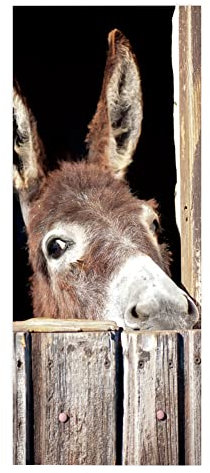 TüRtapete Selbstklebend TüRposter TüRaufkleber Tapete, Wandaufkleber für Schlafzimmer, Heimdekoration, wasserdicht, abnehmbares Premium Vinyl Upgrade, süßes Tier, lustiger Esel