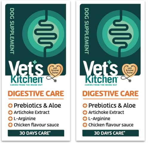 Vet's Kitchen - Healthy Digestion Supplement - Gravy with Prebiotics and Aloe - Advanced Nutrition for your Adult Dog - 300ml, transparent (Pack of 2)