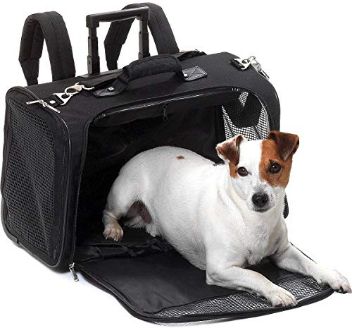 Flamingo SMART Trolley Norton SCHWARZ 54x25,5x36,5CM