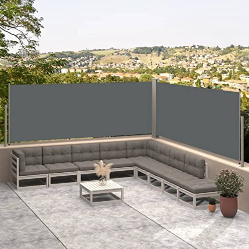 CIADAZ Seitenmarkise Ausziehbar, Windschutz Terrasse, Balkon Windschutz, Balkon Sichtschutz, Sichtschutz Zaun, Sichtschutzzaun, Markise Balkon, Sichtschutzwand, Anthrazit 117x600 cm -at