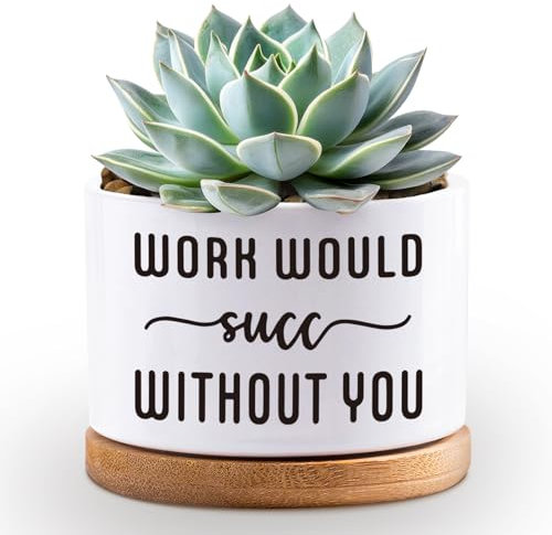 Succulent Plant Pots 3.5 inch Ceramic Succulents Planter, Funny Cute Flower Planter Pot Gifts with Drainage Bamboo Tray-Indoor House Plant Pots (Plant Not Included) (Work Would Succ Without You)