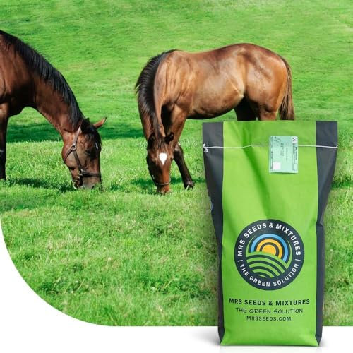Grassamen Pferdeweide - Elite Mix - 1 Kilo für 100 m² - Universalmischung für Pferdeweiden - Hohe Trittfestigkeit - Neuanlage und Nachsaat - Schmackhaft und Zuckerarm - Für alle Böden - MRS Seeds