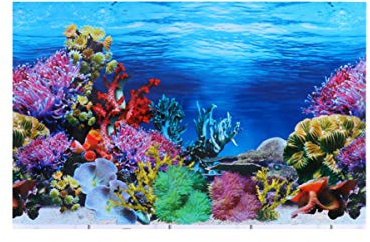 Balacoo Under The Sea Coral Reef Decor - 30X42 CM Three-Dimensional Scenery Sticker, Double Side Glass Decal Background Decoration, Plants Aquarium Background For Fish Tank Aquarium (Style H)