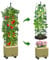 MQJIAZHI Jardinière surélevée pour tomates avec treillis en métal, 180 cm, treillis à auto-arrosage avec roues pour plantes grimpantes, jardinières surélevées avec treillis pour jardin, intérieur