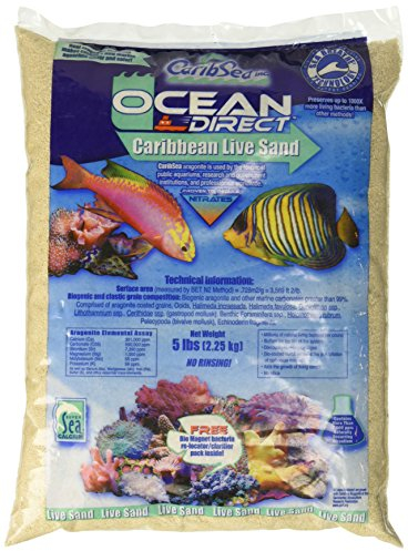Carib Sea ACS00905 Ocean Direct Natürlicher lebender Sand für Aquarien, 2,3 kg
