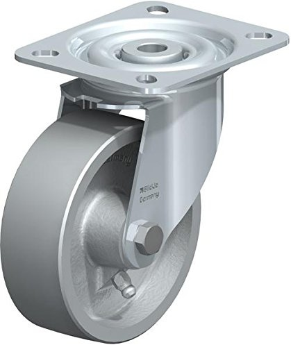 BLICKLE li-g 100 g Lenkrolle, 10 cm Rad Durchmesser, 330 Lb. Tragkraft