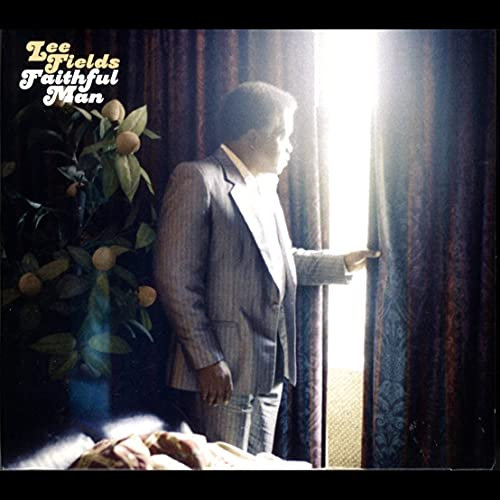 Faithful Man Instrumentals [Vinyl LP]