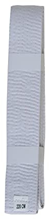Lisaro kampfsportgürtel Karate Judo Taekwondo Ju Jutsu BJJ Gürtel Gr. 160-320 cm (Weiss, 160)