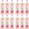 fit Naturals Mandelblüte-Granatapfel (12 x 500 ml) Geschirrspülmittel flüssig, biologisch abbaubares Spülmittel, höchste Spülkraft und sparsamer Verbrauch, Spüli Grosspackung