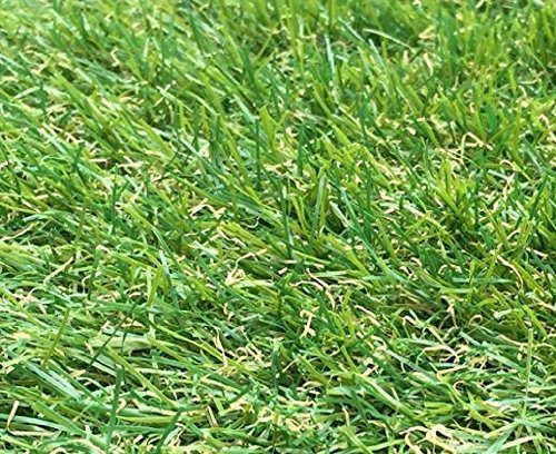 4m x 2.5m Berlin 26mm Pile Height Artificial Grass | Natural & Realistic Looking Astro Garden Lawn | 8 ft 2 Inch x 12 ft 10 Inch | 250cm x 400cm | 98 x 157 Inches | High Density Fake Turf