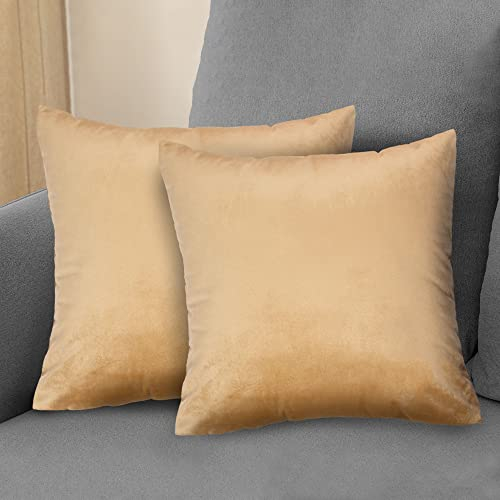 Komfortec 2er Set Samt Kissenbezüge 40x40 cm, Zierkissenhülle, Zierkissenbezüge, Kopfkissenbezug, Schlafzimmer Kissenbezug, Dekorativer Couchkissenbezug & Sofakissenbezug mit Reißverschluss, Beige