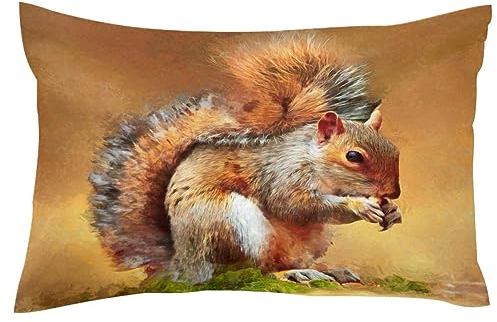 Kissenbezug mit Eichhörnchen-Motiv und Nussmalerei, dekorativer weicher Samt-Kissenbezug für Couch, Sofa, Bett, Auto, Wohnzimmer, 40,6 x 61 cm
