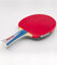 Raqueta de ping-Pong SANWEI Taiji 710