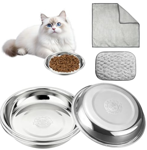 3 Pcs Stainless Steel Cat Bowls, 5.51 Inch Cat Food Bowl with 2 Pcs Cleaning Cloth, Metal Cat Water Bowl for Small Cat Dog