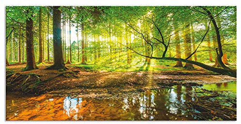 ARTland Spritzschutz Küchenrückwand aus Alu für Küche Herd Spüle 100x50 cm (BxH) mit Motiv Natur Landschaft Wald Bäume Sonne Bach Landhaus Grün T9IO
