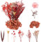 LAUMOE Getrocknete Blumen, Trockenblumen, Trockenblumen Zum Basteln Mini Trockenblumen Trockenblumen Set für DIY Epoxidharz Scrapbook Zubehör Handgemachte Heimdekoration Hochzeit