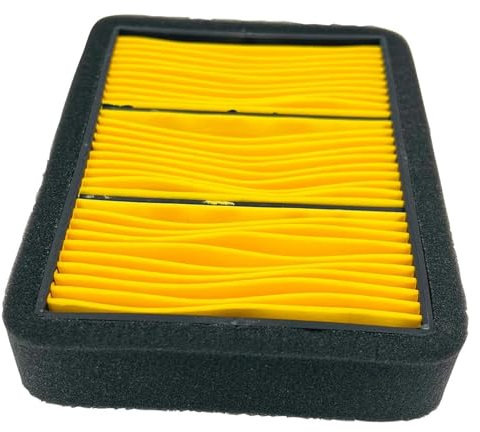 TGVSELPJ Parti di Moto 1PCS Filtro Aria per Benelli Leoncino 500 ABS H2O 4T E4 2016 2017 2018 2019 2020 Moto