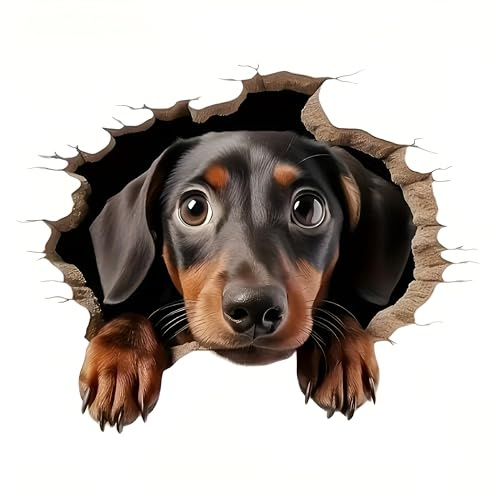 Autoaufkleber 3D Dackel Vinyl Aufkleber 14 cm 2 Stück Lustiger Hund Stoßstangenaufkleber Fahrzeugaufkleber Wasserdicht für Auto Laptop Tür Fenster Motorrad Helm Koffer Langlebig Kratzfest